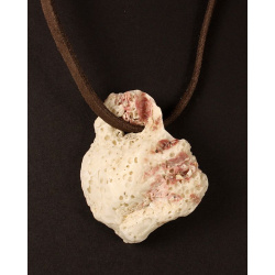 Shell fragment on leather thong